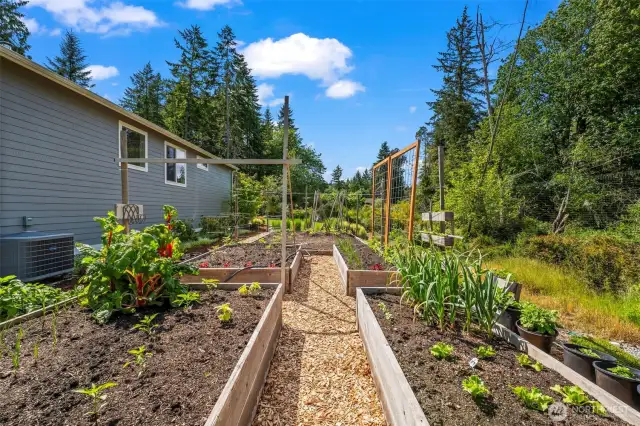 The side of the house gets plenty of sun - great for gardens and growing all your favorite veggies.  Mmmmm
