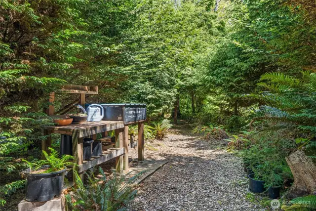 Potting area, owners have been cultivating native trees and shrubs