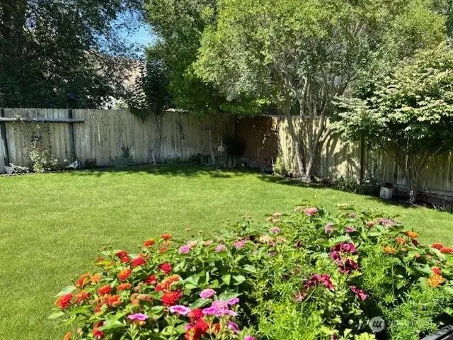 Back fenced yard