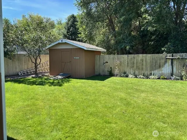 Garden shed back yard