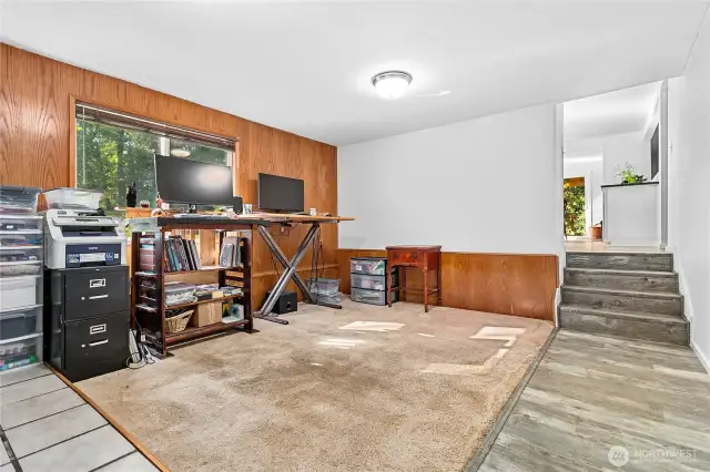 Lower level office area or hang out.