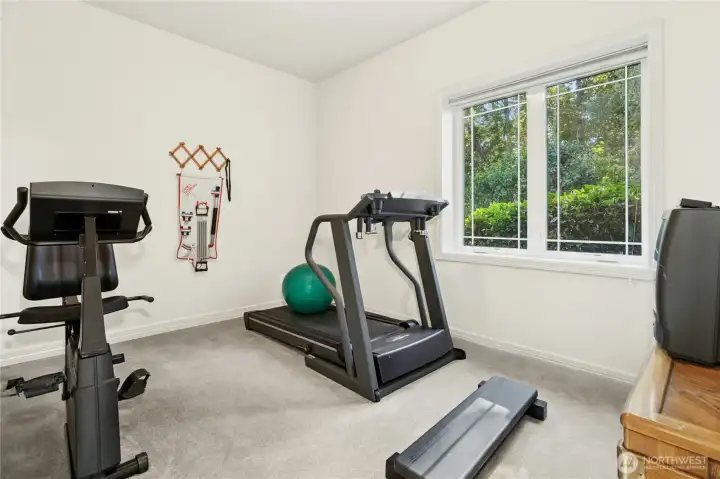 Exercise or flex room