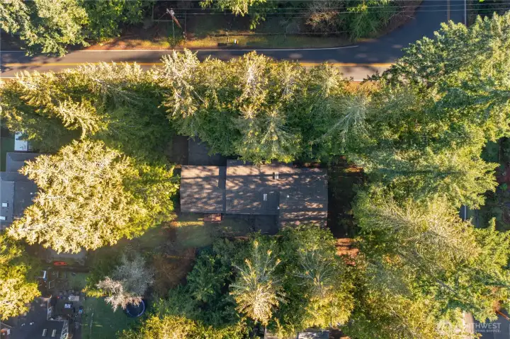 Large corner lot with incredible privacy!