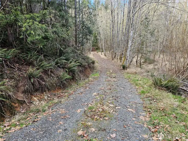 All weather driveway back to the Cabin site.
