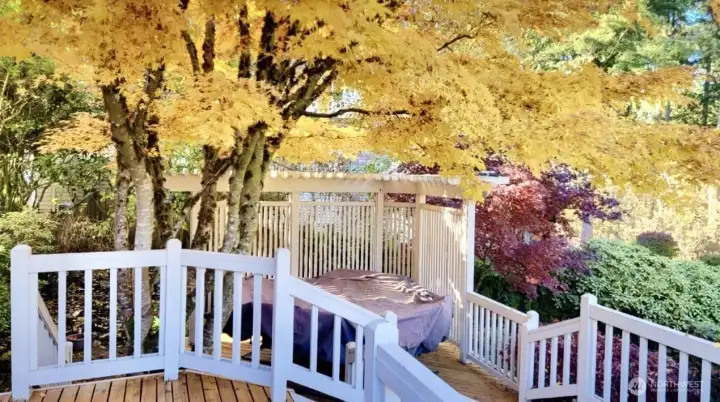 Deck in Fall