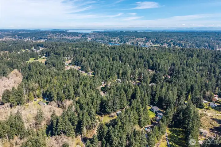 Escape to your own 2.42-ac sanctuary in Port Orchard. This stunning property offers a perfect blend of cleared living space and lush, evergreen forest, providing ultimate privacy and a park-like atmosphere.