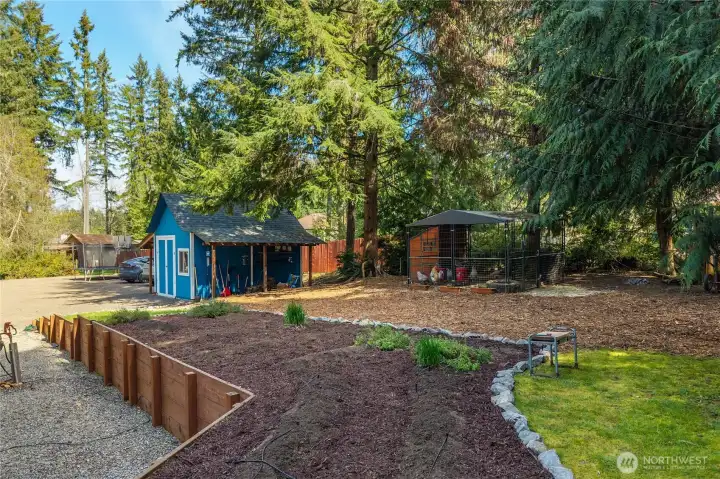 Chicken coop and lofted shed on the East side of the house. Terraced backyard slopes sideyard down to the shed.