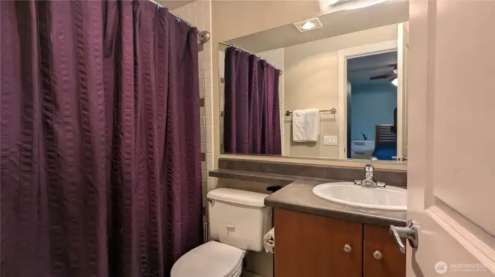 Primary bathroom