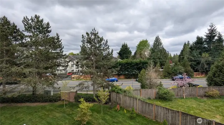 View from deck