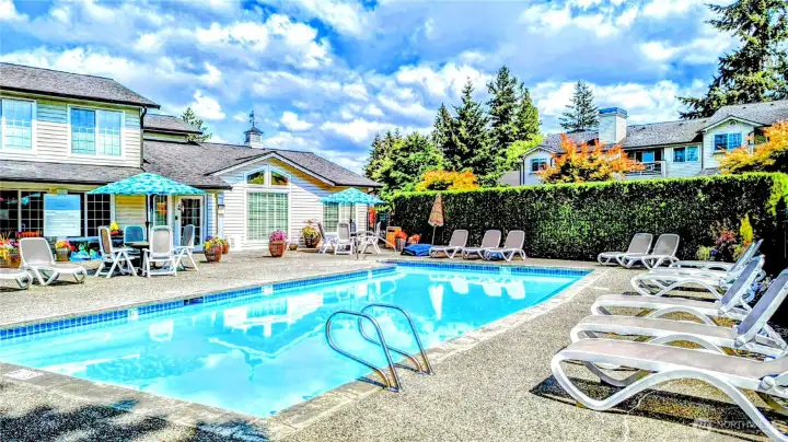 Relax by the pool