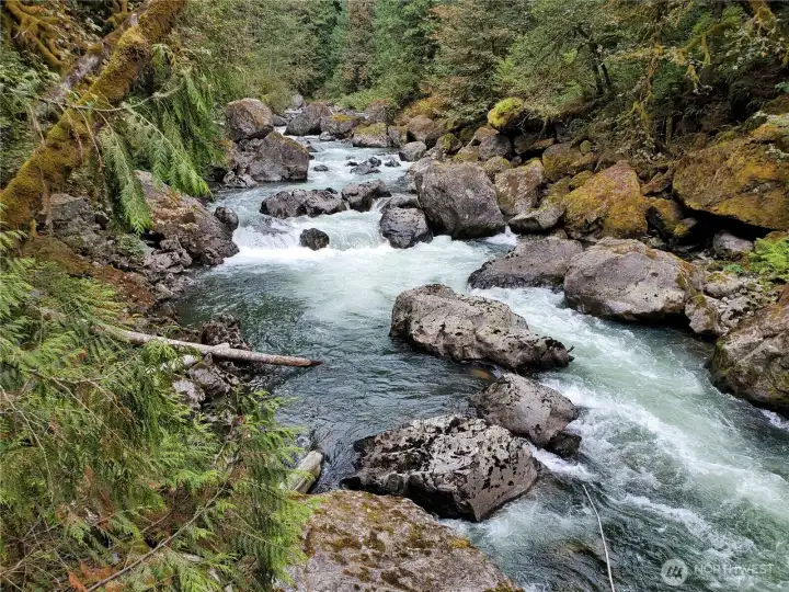 This photo is from lot 12 looking north up river and showing one of the wildest sections of the river.