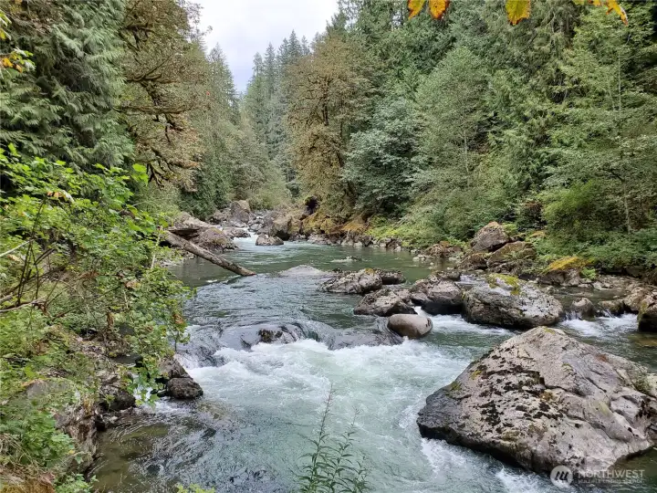 Looking up river on lot 11 towards lot 12. Enjoy over 1 mile of pristine riverfront with shared easement.