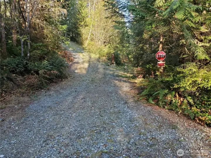 Looking north, 298th Ave ends at the north line of lot 11 south line of lot 12. Lot 12 begins just past the 2 posts continue up the driveway to lot 12 home site. There's a turnaround/pullout to the right off camera.