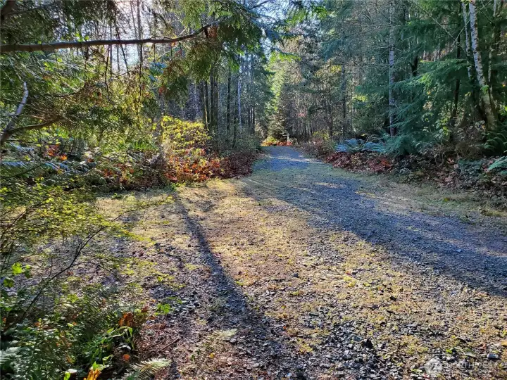 Looking South on the quality built 298th easement road from near the south property line of lot 12. The easement turnaround is to the left of this photo.