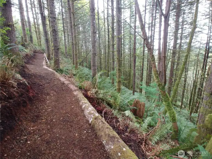 This is one of the newer trail sections.