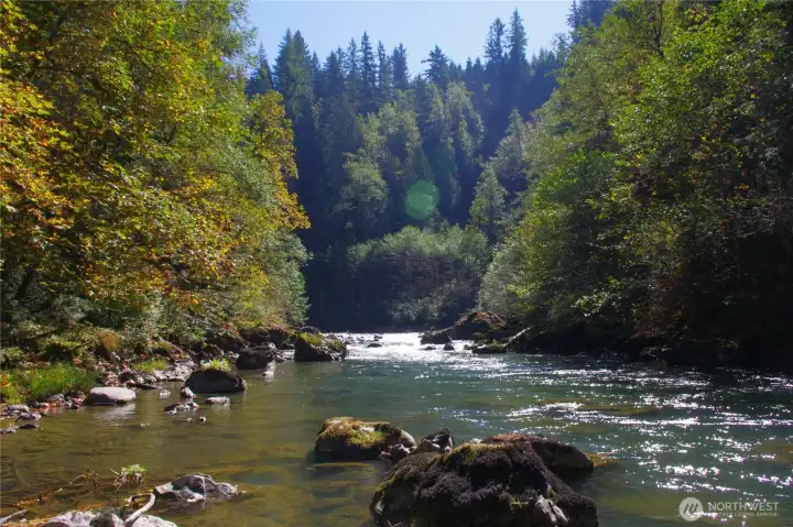 Looking up river closer to lot 8. We should mention that the properties are on both sides of the river. Those tall evergreens are on lot 9 and all you see here is within the trail/shared use easement that lot 12 enjoys.