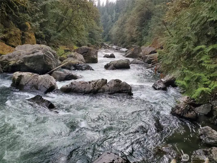Looking down river from lot 12