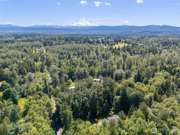 Hello, you beautiful Mountain.