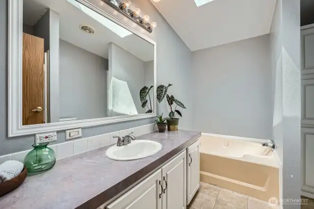 Large primary bath. The shower is to the right behind the door.