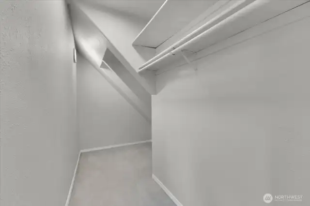 Closet in 3rd bedroom