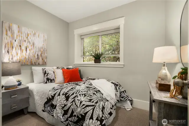 Lower level third bedroom