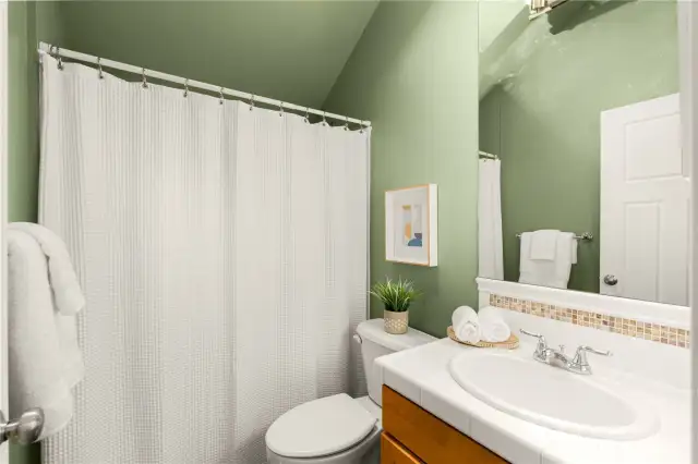 Lower level full bathroom
