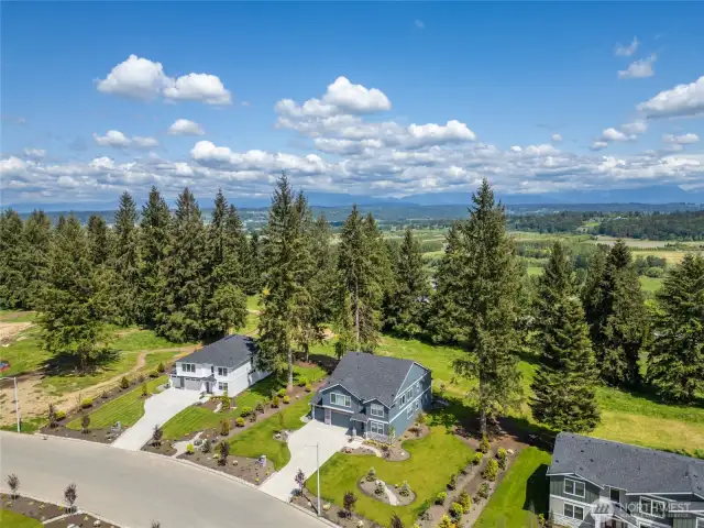When was the last time you found new construction with 75'-90' between homes? There is plenty of Privacy here!