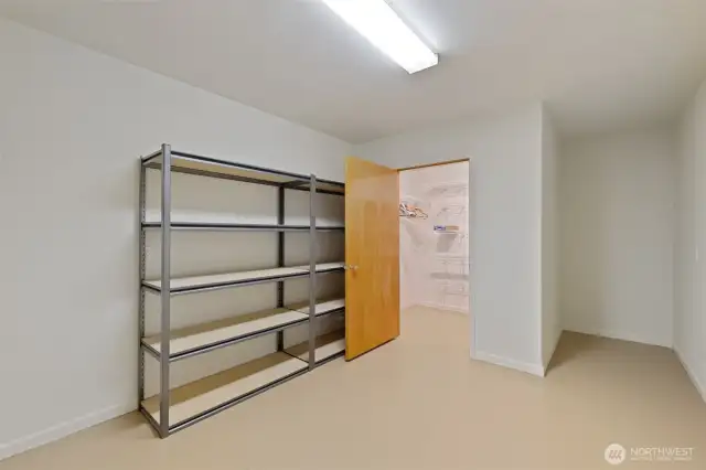 Downstairs storage room with walk in closet
