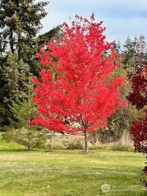 Fall Colors!