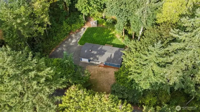 A really really tall person's view of the property.