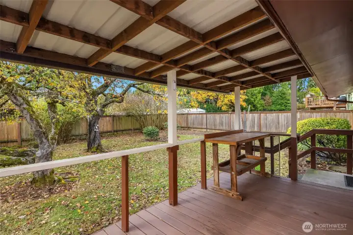 Covered Back Deck