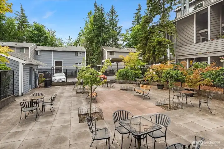 Gated courtyard surrounded mature Evergeen trees