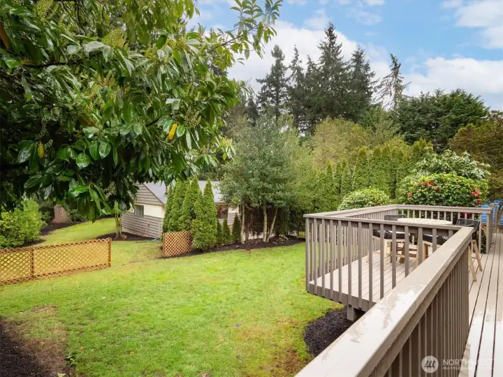 West home - 22511: The deck looks over the private, level backyard.