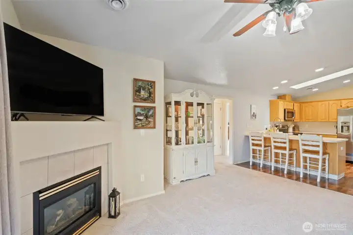 family propane fireplace