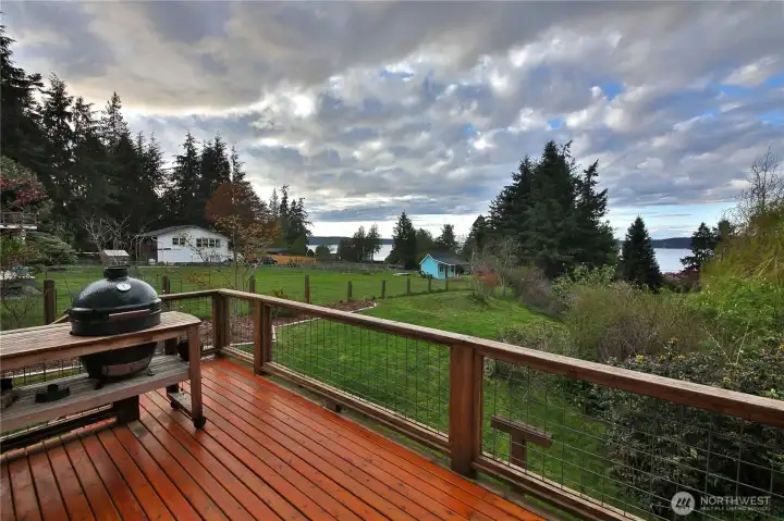 Grilling with a view