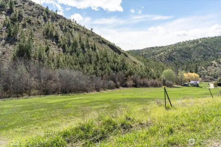 Grass field with water spigots on property.
