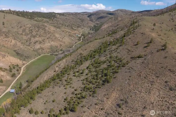 You can see the other neighbors a little further up the canyon.
