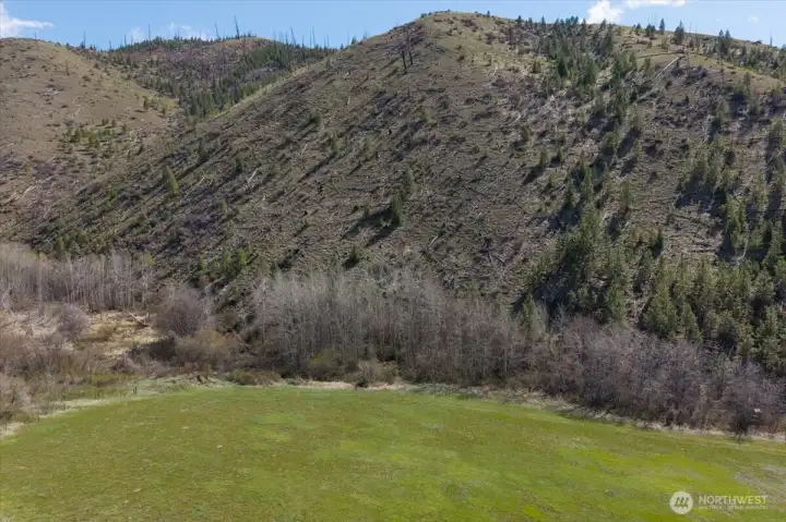 Could be a great recreational site.