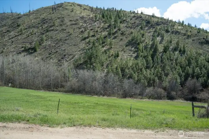 Fairly level property.