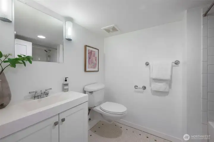 Lower level bath
