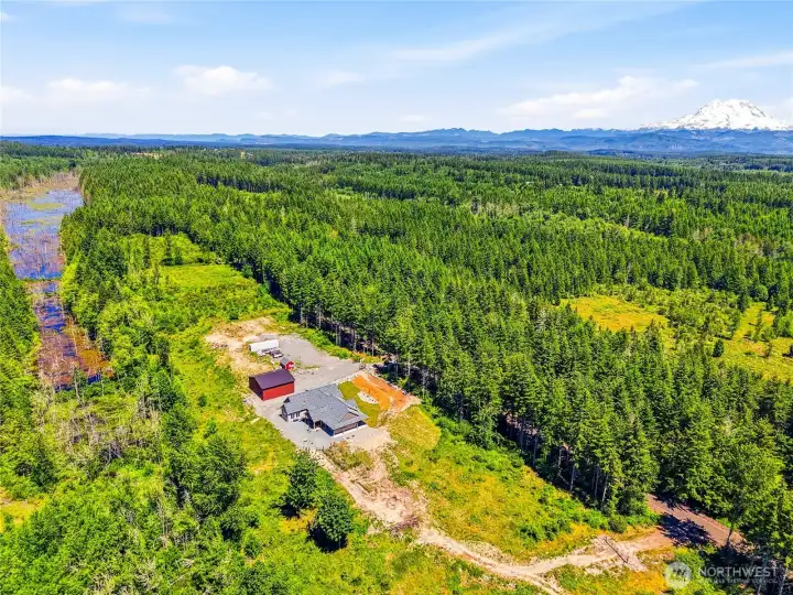 The property is under Timber taxation minimizing your tax exposure on the 20 acres. The property is under Timber taxation minimizing your tax exposure on the 20 acres.