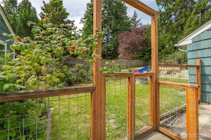 Gated Backyard Entry (Fully Fenced)