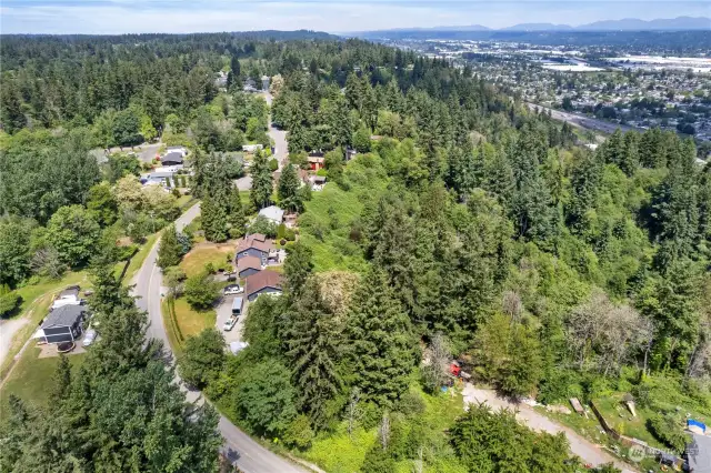 View to the North.  55th Ave S and subject parcel are in the bottom center of photo.