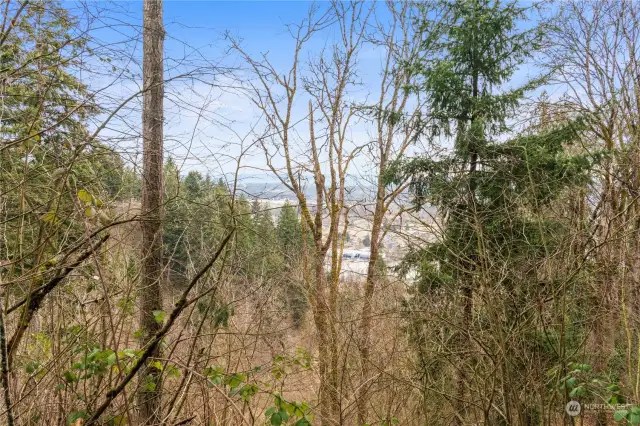 Clear some trees to open up year round views of the Valley & Cascade Mountains.