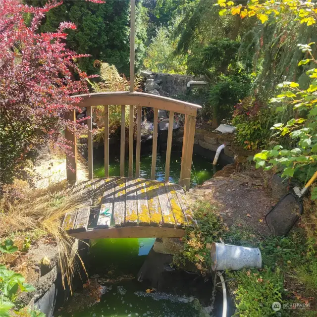 Nice koi pond with high end filtration system