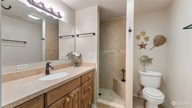 Lower level bathroom with walk -in shower