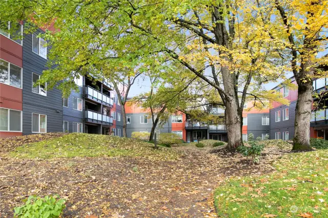 Gorgeous courtyard that B310 Looks out into. Far left corner, 3rd floor!