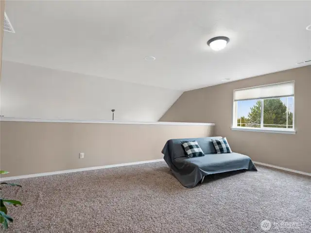 Upstairs Loft/Living Room