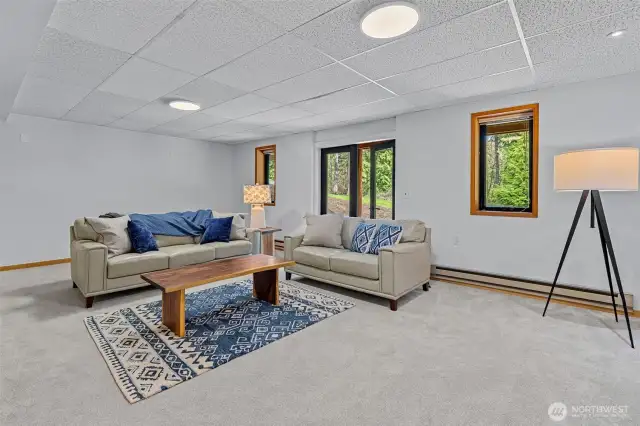 Basement Bonus Room