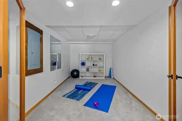 Basement Flex Room